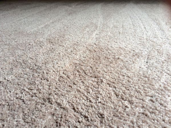 Plush Carpet Installation in American Fork